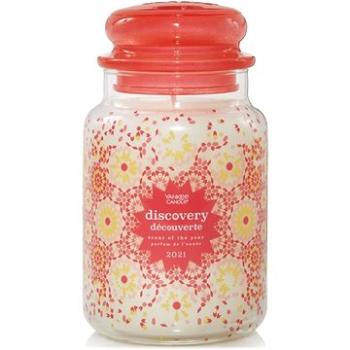 YANKEE CANDLE Soty 2021 623 g (5038581122366)