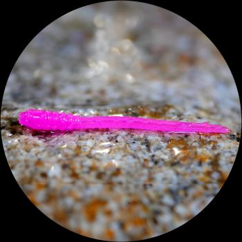 Redbass gumová nástraha micro tail signal pink uv color - s 48 mm