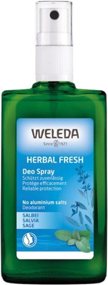 WELEDA Šalviový dezodorant 100 ml