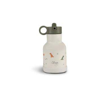 Citron Water Bottle 250 ml (Stainless Steel) fľaša na vodu z nehrdzavejúcej ocele Dino 250 ml