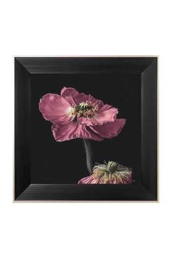 Nástenná dekorácia v ráme home & lifestyle ARTISTIC FLOWER NO.1 50 x 50 cm viac farieb