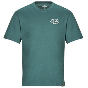 Dickies  DICKIES GLOBE TEE SS  Tričká s krátkym rukávom Zelená