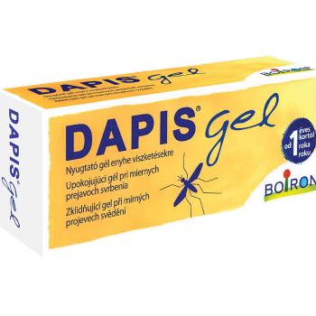 BOIRON Dapis Upokojujúci gél 40 g