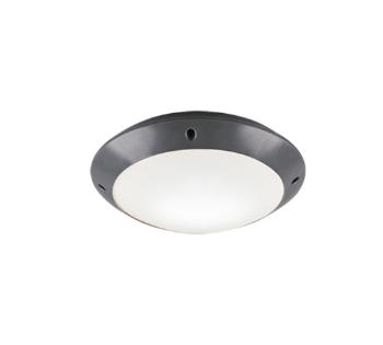 Stropné osvetlenie Reality Camaro antracit R60501042