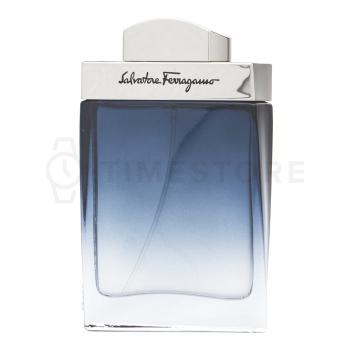 Salvatore Ferragamo Subtil Pour Homme toaletná voda pre mužov 50 ml   - 30 dní na vrátenie tovaru, Garancia originality
