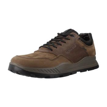 IgI&CO  6629811IG  Derbie Hnedá