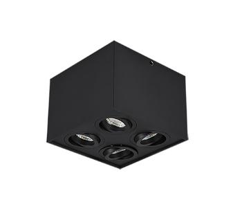 Stropné osvetlenie Trio Biscuit čierna 613000432