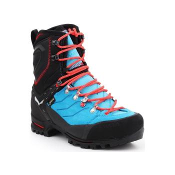 Salewa  WS Vultur EVO GTX 61335-8610  Turistická obuv Viacfarebná