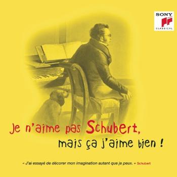 Various, Je N'aime Pas Schubert, Mais Ça J'aime Bien !, CD