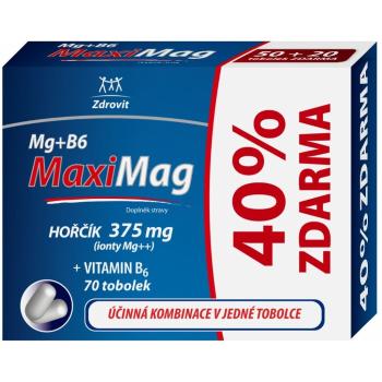 MAXIMAG Horčík 375 mg + B6 40% ZADARMO 70 kapsúl