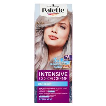 PALETTE ICC Farba na vlasy 10-19 Chladný striebristo plavý