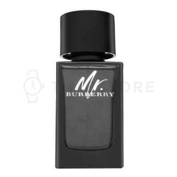 Burberry Mr. Burberry parfémovaná voda pre mužov 100 ml   - 30 dní na vrátenie tovaru, Garancia originality