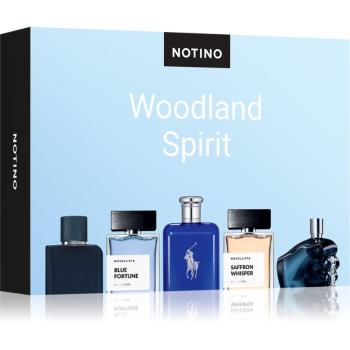 Beauty Discovery Box Notino Woodland Spirit sada pre mužov