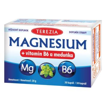 TEREZIA Magnesium + vitamín B6 a medovka 30 kapsúl