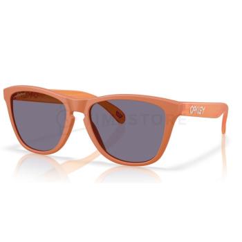 Oakley Frogskins OO9013 9013M1 55 - 30 dní na vrátenie tovaru, Garancia originality