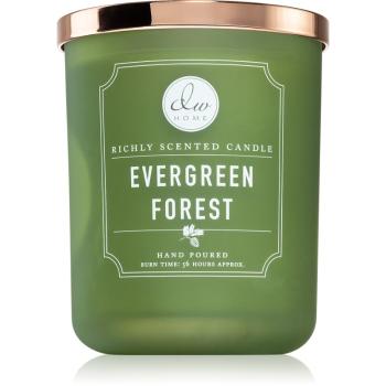 DW Home Signature Evergreen Forest vonná sviečka 445 g