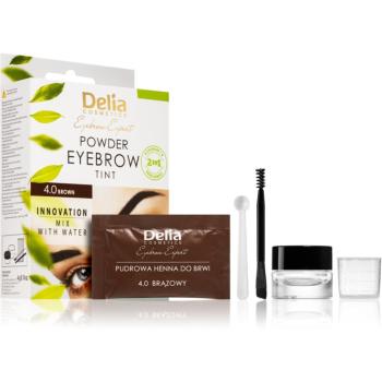 Delia Cosmetics Eyebrow Expert tónovacia farba na obočie odtieň 4.0 Brown 4 g