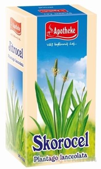 APOTHEKE Skorocel kopijovitý, 20x1,5 g