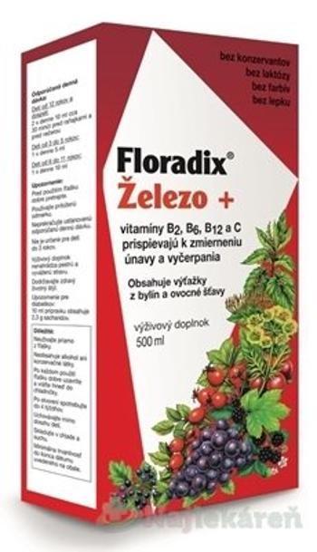 SALUS Floradix Železo +, 500ml