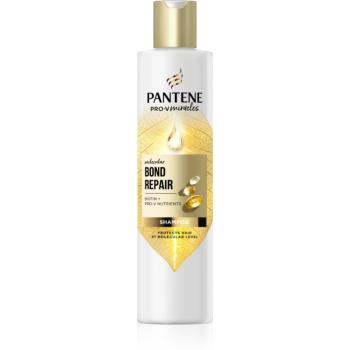 Pantene Pro-V Bond Repair hajerősítő sampon a sérült hajra biotinnal 250 ml