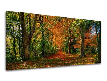 Obraz na stenu PANORÁMA STROMY 30x60 cm