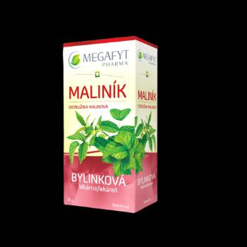 MEGAFYT Bylinková lekáreň Ostružina malinová 20 x 1.5 g