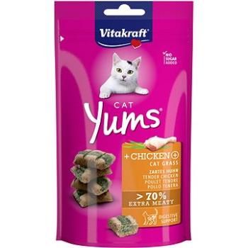 Vitakraft pochúťka Cat Yums kuracie s trávou 40 g (4008239588975)