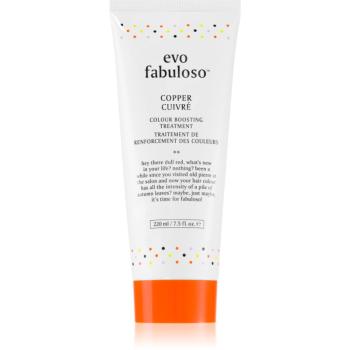 EVO Fabuloso Colour Boosting Treatment maska na vlasy pre zvýraznenie farby vlasov odtieň Copper 220 ml