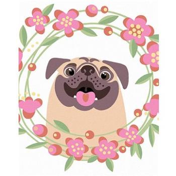 Maľovanie podľa čísel - Šťastný mops s kvetinami (HRAbz33371nad)