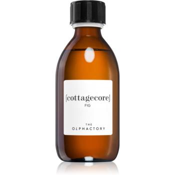 Ambientair The Olphactory Fig náplň do aróma difuzérov Cottagecore 250 ml