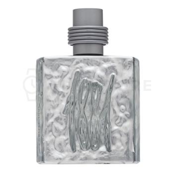 Cerruti 1881 Silver toaletná voda pre mužov 100 ml   - 30 dní na vrátenie tovaru, Garancia originality