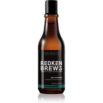 Redken Brews povzbudzujúci mentolový šampón na vlasy a pokožku hlavy 300 ml