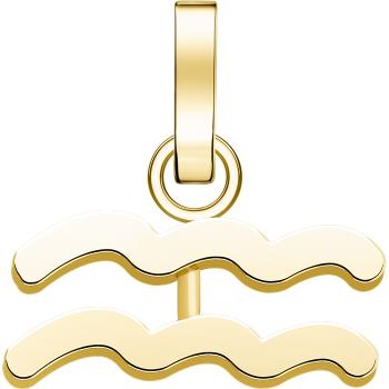 Rosefield Oceľový prívesok Vodnár The Pendant PE-Gold-Aquarius-S