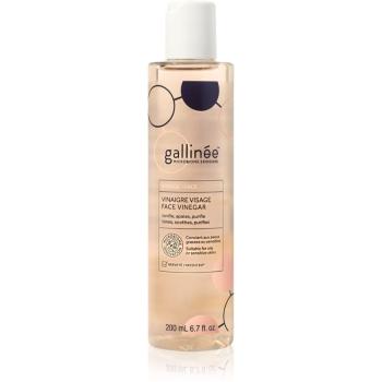 Gallinée SKIN CARE Face Vinegar pleťové tonikum s hydratačným účinkom 200 ml