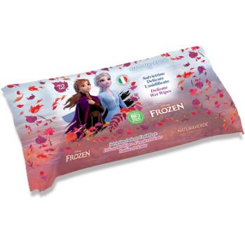 Disney Frozen 2 Delicate Wet Wipes vlhčené obrúsky pre deti 72 ks