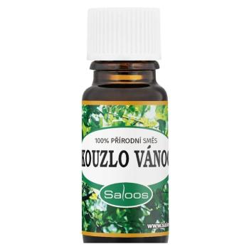 SALOOS Kúzlo Vianoc Zmes esenciálnych olejov10 ml