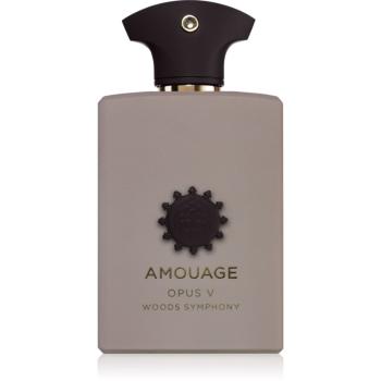 Amouage Opus V: Woods Symphony parfumovaná voda unisex 100 ml