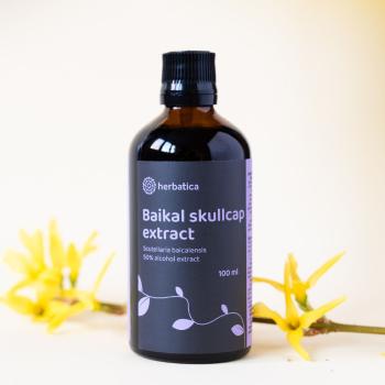 Šišiak bajkalský tinktúra - 100ml - Herbatica
