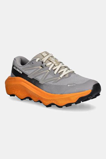 Topánky Salomon ULTRA FLOW 2 GTX šedá farba, L47884200