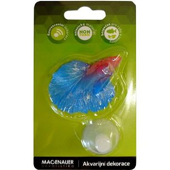 Macenauer Dekorácia Betta Splendens modrá/fialová 1 ks (8595092800772)