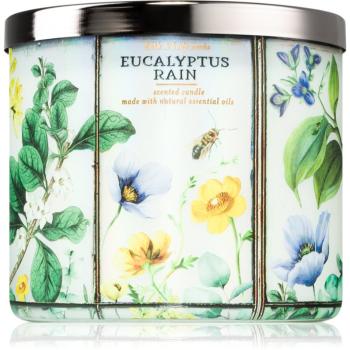 Bath & Body Works Eucalyptus Rain vonná sviečka 411 g