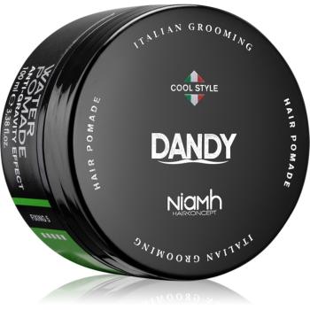 DANDY Water Pomade Anti-Gravity Effect pomáda na vlasy so silným spevnením 100 ml