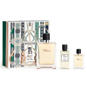 Hermes Terre D` Hermes - EDT 100 ml + voda po holení 40 ml + EDT 12,5 ml