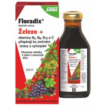 Salus Floradix Železo+ 500 ml