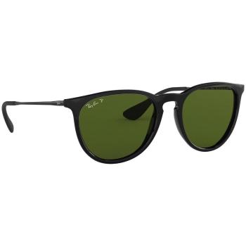 Ray-ban  ERIKA 0RB4171.  Slnečné okuliare Čierna