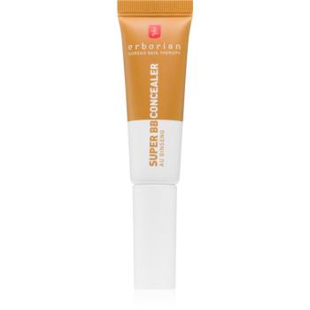 Erborian Super BB Concealer hydratačný korektor pre stredné až plné krytie odtieň Caramel 10 ml