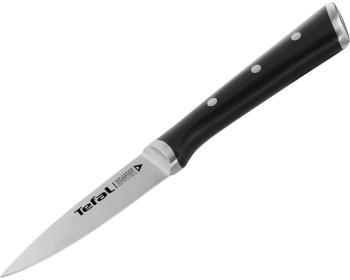 K2320514 ICE FORCE NEREZOVÝ NÔŽ 9 TEFAL