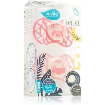 Nuvita Explorer Orthodontic 6m+ cumlík Female night 1 ks