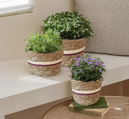 Weltbild Obal na květináč z mořské trávy, fialový, sada 3 ks