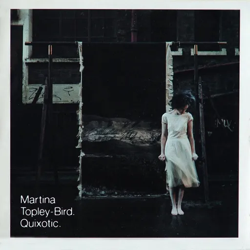 Topley Bird Martina Quixotic 2 LP